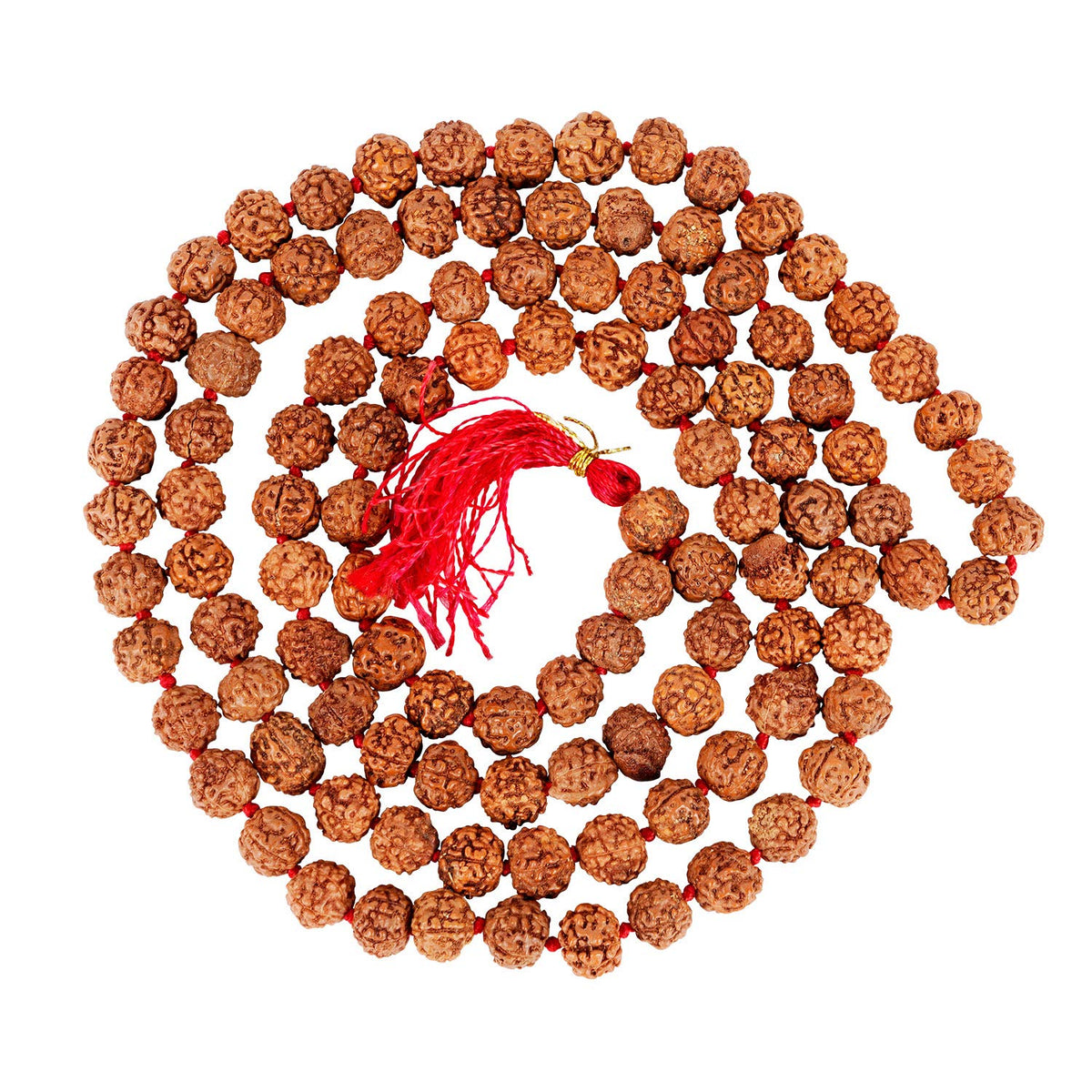 Jam Raksha Rudraksha