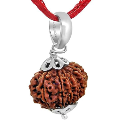 13 Mukhi NEPALI RUDRAKSHA SILVER 925 PENDANT / Thirteen Faced RUDRAKSHA 100% Original & Certified