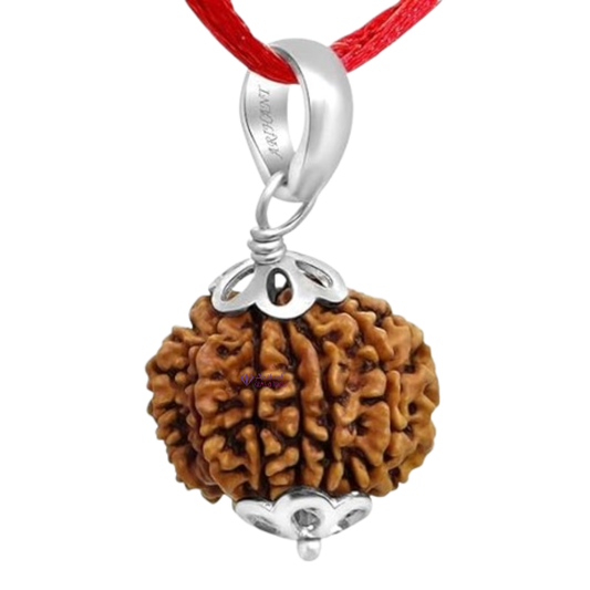 11 Mukhi NEPALI RUDRAKSHA SILVER 925 PENDANT / Eleven Faced RUDRAKSHA 100% Original & Certified
