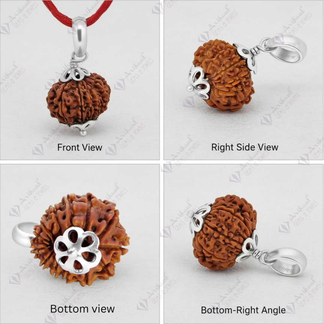 13 Mukhi NEPALI RUDRAKSHA SILVER 925 PENDANT / Thirteen Faced RUDRAKSHA 100% Original & Certified