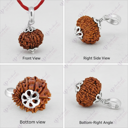 13 Mukhi NEPALI RUDRAKSHA SILVER 925 PENDANT / Thirteen Faced RUDRAKSHA 100% Original & Certified