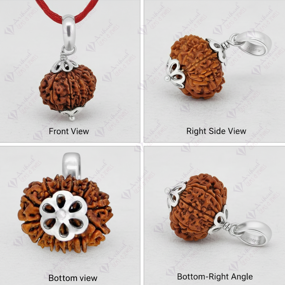 12 Mukhi NEPALI RUDRAKSHA SILVER 925 PENDANT / Twelve Faced RUDRAKSHA 100% Original & Certified