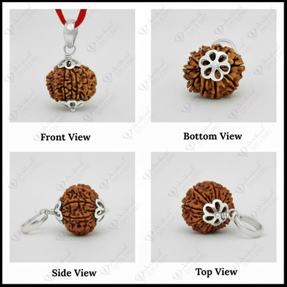 11 Mukhi NEPALI RUDRAKSHA SILVER 925 PENDANT / Eleven Faced RUDRAKSHA 100% Original & Certified