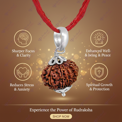 13 Mukhi NEPALI RUDRAKSHA SILVER 925 PENDANT / Thirteen Faced RUDRAKSHA 100% Original & Certified