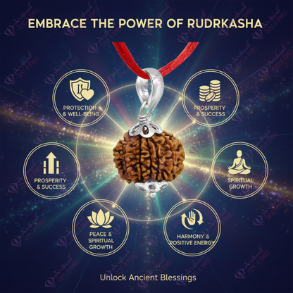 11 Mukhi NEPALI RUDRAKSHA SILVER 925 PENDANT / Eleven Faced RUDRAKSHA 100% Original & Certified
