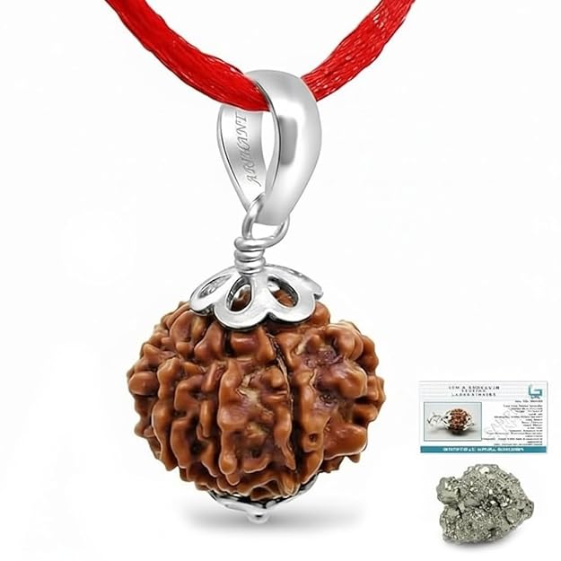 7 Mukhi Rudraksha Pendant in 925 Silver | Original & Certified Seven Face Rudraksha Locket for Wealth, Prosperity & Good Luck