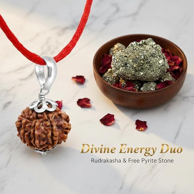 7 Mukhi Rudraksha Pendant in 925 Silver | Original & Certified Seven Face Rudraksha Locket for Wealth, Prosperity & Good Luck