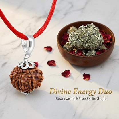 7 Mukhi Rudraksha Pendant in 925 Silver | Original & Certified Seven Face Rudraksha Locket for Wealth, Prosperity & Good Luck