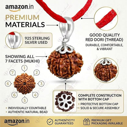 7 Mukhi Rudraksha Pendant in 925 Silver | Original & Certified Seven Face Rudraksha Locket for Wealth, Prosperity & Good Luck