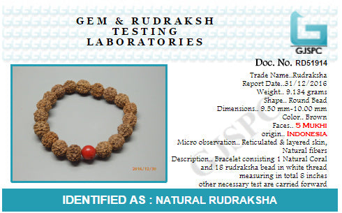 Arihant Gems and Jewels 5 Mukhi/Faced Indonesia Rudraksh Bracelet with "Coral"| Natural & Certified | Astrological Gemstone | Positive Effect | Unisex Both for Men & Women