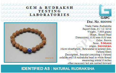 ARIHANT GEMS & JEWELS Brown Non-Precious Metal 5 Mukhi Indonesia Natural Sodalite Certified Unisex Rudraksha Bracelet