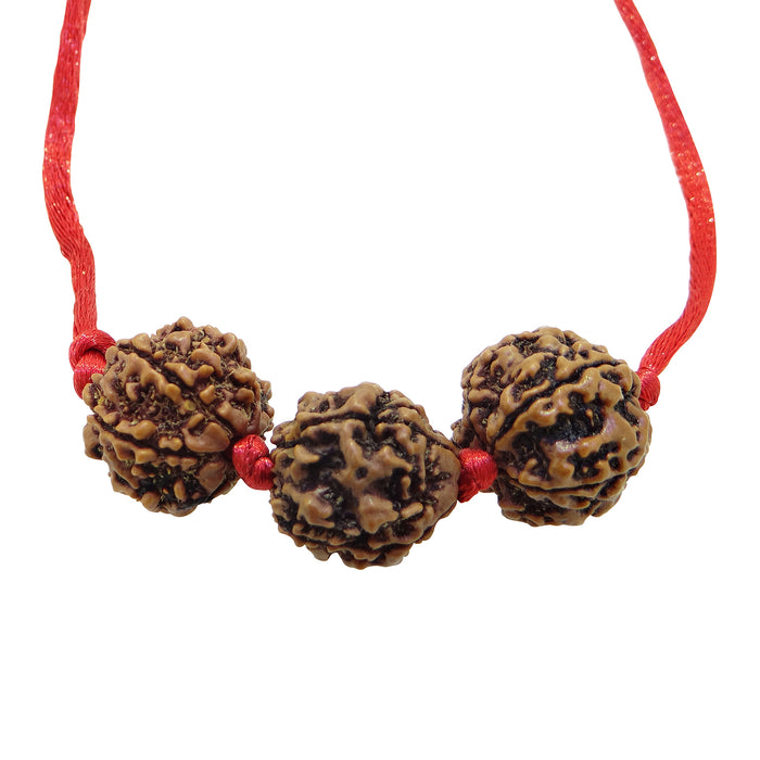 Arihant Gems & Jewels Brown Saraswati Bandh 2 Beads of 4 Mukhi/Faced & 1 Bead of 6 Mukhi/Faced Rudraksha | Natural & Certified | Astrological Rudraksha | Unisex Both for Men & Women