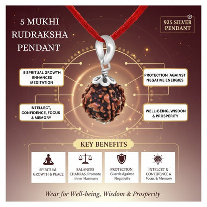 5 Mukhi NEPALI RUDRAKSHA SILVER 925 PENDANT / Five Faced RUDRAKSHA 100% Original & Certified