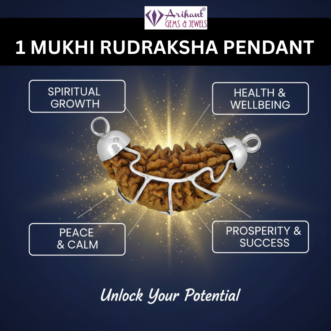1 Mukhi INDIA RUDRAKSHA SILVER 925 PENDANT / One Faced RUDRAKSHA 100% Original & Certified
