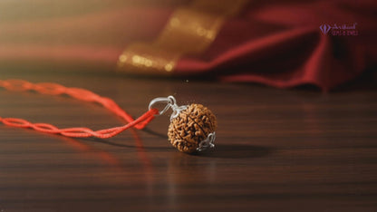 11 Mukhi NEPALI RUDRAKSHA SILVER 925 PENDANT / Eleven Faced RUDRAKSHA 100% Original & Certified