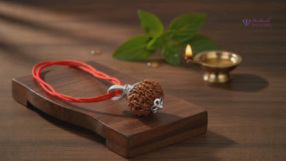 12 Mukhi NEPALI RUDRAKSHA SILVER 925 PENDANT / Twelve Faced RUDRAKSHA 100% Original & Certified