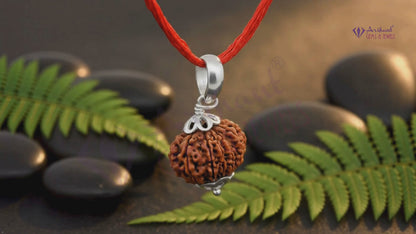 13 Mukhi NEPALI RUDRAKSHA SILVER 925 PENDANT / Thirteen Faced RUDRAKSHA 100% Original & Certified