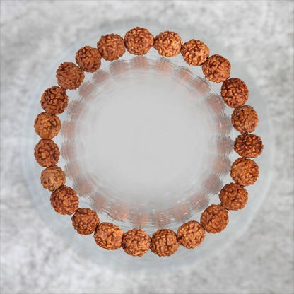 Rudraksha bracelet made of natural brown prayer beads on white background