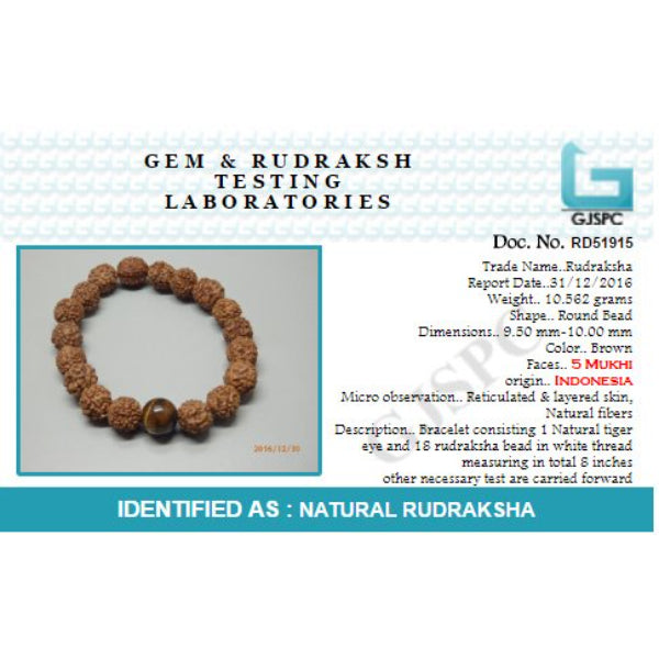 Arihant Gems & Jewels 5 Mukhi Indonesia Tiger Eye Certified 5 Faced Brown Rudraksha Bracelet | Natural & Certified | Astrological Gemstone | Positive Effect | Unisex Both for Men & Women