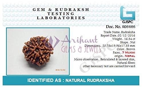 Original Rudraksha Certified 7 Mukhi Nepali RUDRAKSHA/Seven Faced RUDRAKSHA Certified by ARIHANT GEMS & JEWELS (7 MUKHI RUDRAKSHA)