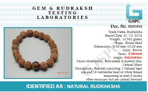 Arihant Gems & Jewels 5 Mukhi Indonesia Tiger Eye Certified 5 Faced Brown Rudraksha Bracelet for Men and Women