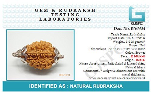 Rudraksha 2 Mukhi Indian RUDRAKSHA Silver Pendant Two Faced RUDRAKSHA and Certified by Arihant Gems and Jewels
