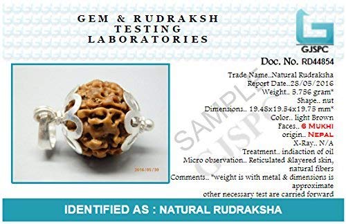 Rudraksha Ganesh JI Nepali RUDRAKSHA Silver Pendant 100% Original & Certified Four Faced RUDRAKSHA Pendant by Arihant Gems and Jewels