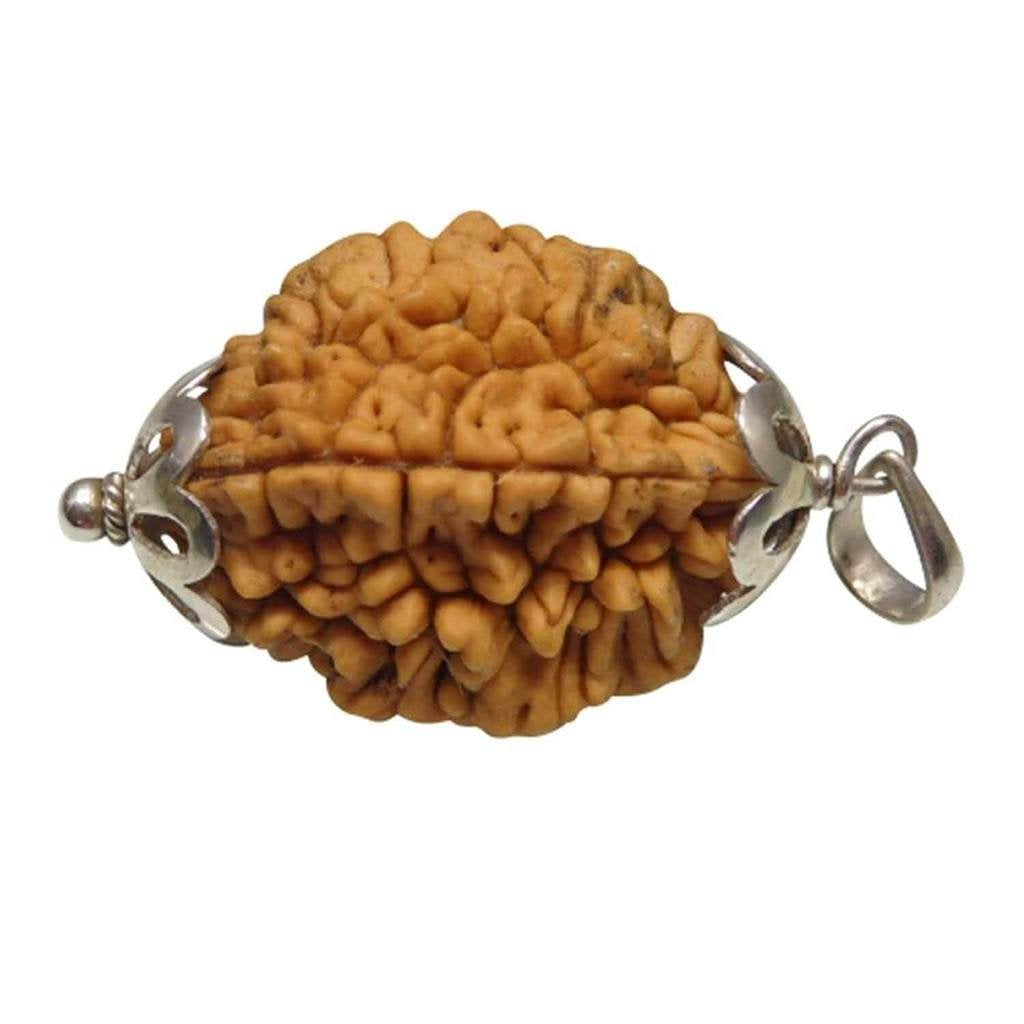 Rudraksha 2 Mukhi Indian RUDRAKSHA Silver Pendant Two Faced RUDRAKSHA and Certified by Arihant Gems and Jewels