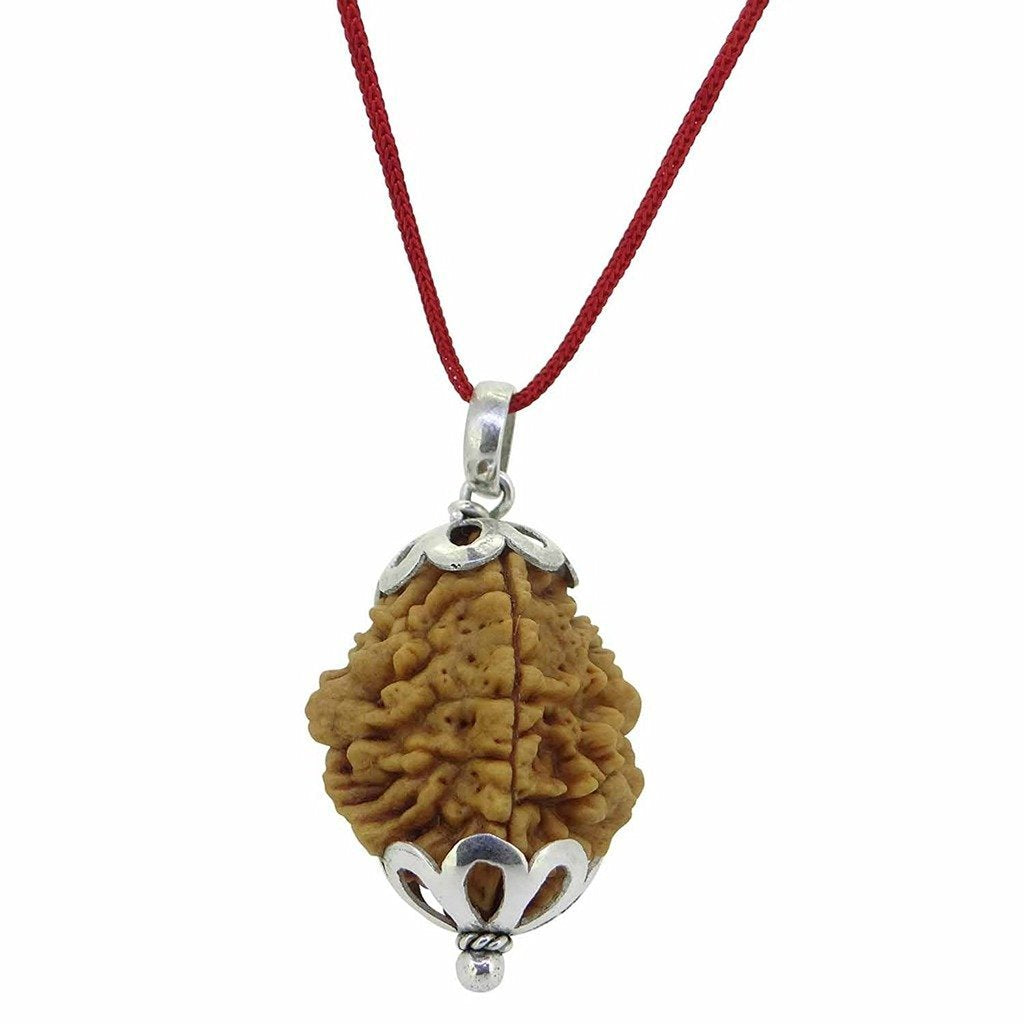 Rudraksha 2 Mukhi Indian RUDRAKSHA Silver Pendant Two Faced RUDRAKSHA and Certified by Arihant Gems and Jewels
