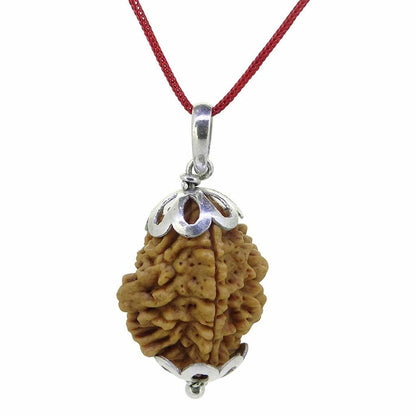 Rudraksha 2 Mukhi Indian RUDRAKSHA Silver Pendant Two Faced RUDRAKSHA and Certified by Arihant Gems and Jewels