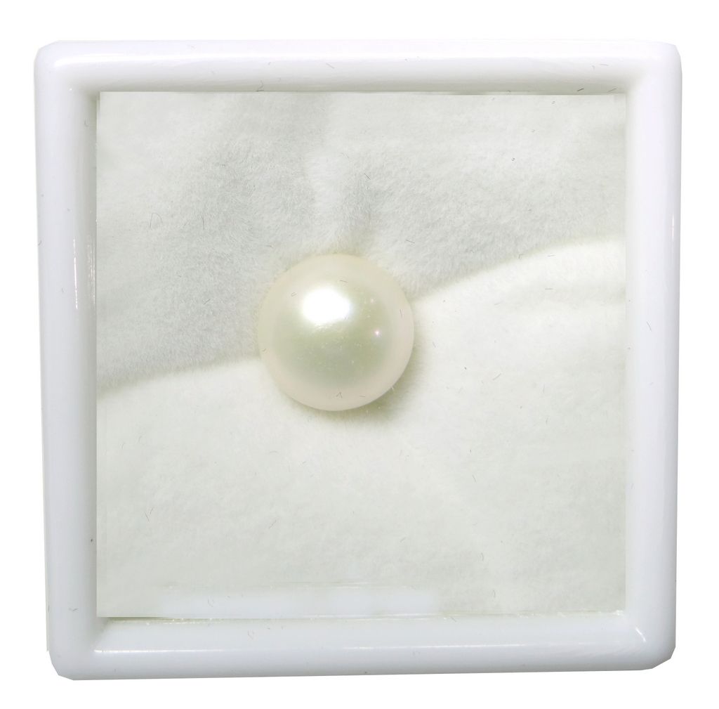 Fresh Water Pearl (Moti) 3.25 - 13.25 Ratti Certified Astrological Gemstone
