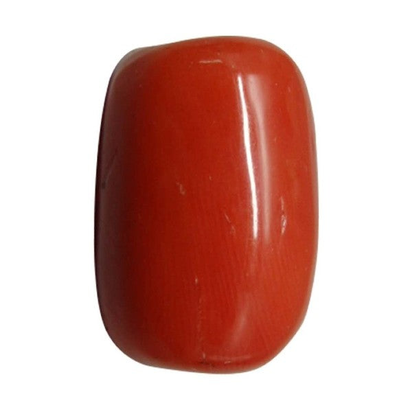Coral (Moonga) 3.25 - 21.25 Ratti Natural & Certified Astrological Gemstone  Excellent Quality
