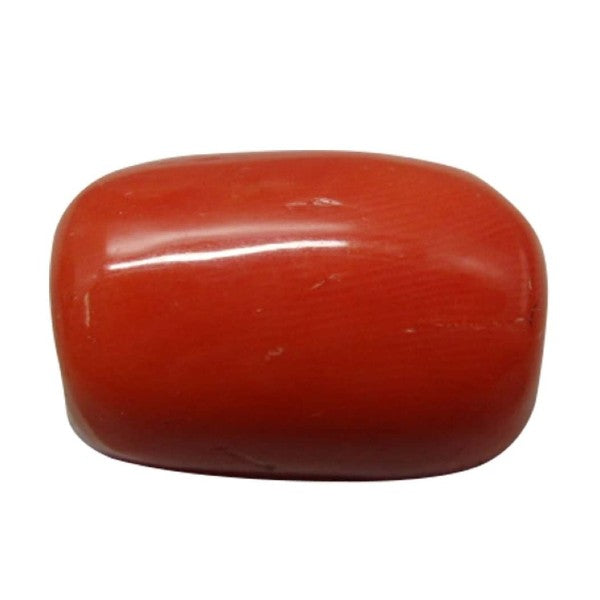 Coral (Moonga) 3.25 - 21.25 Ratti Natural & Certified Astrological Gemstone  Excellent Quality