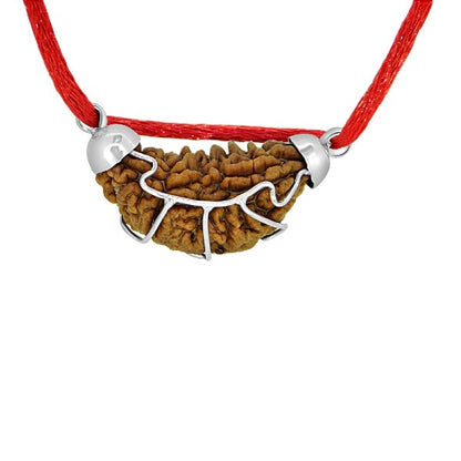 Mukhi INDIA RUDRAKSHA SILVER 925 PENDANT One Faced RUDRAKSHA 100%