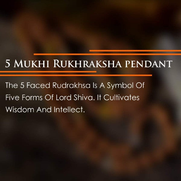5 Mukhi NEPALI RUDRAKSHA SILVER 925 PENDANT / Five Faced RUDRAKSHA 100% Original & Certified