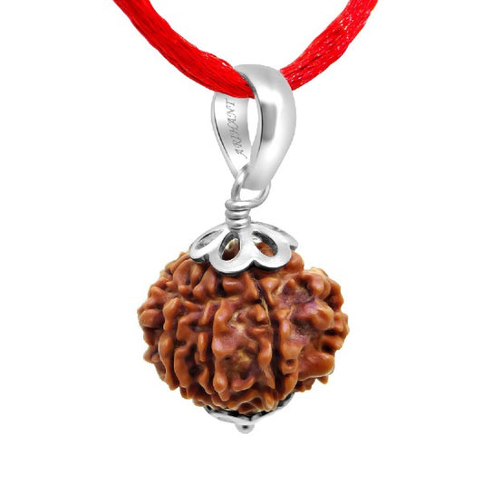 7 Mukhi NEPALI RUDRAKSHA SILVER 925  PENDANT  Seven Faced RUDRAKSHA 100 Original  Certified