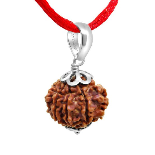 9 Mukhi NEPALI RUDRAKSHA SILVER 925 PENDANT  Nine Faced RUDRAKSHA 100 Original  Certified