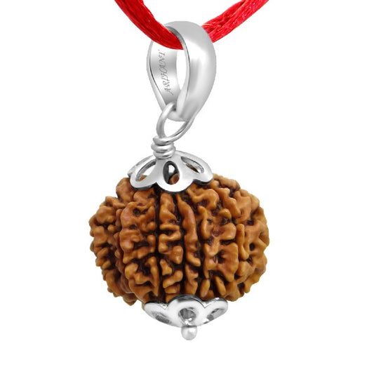 11 Mukhi NEPALI RUDRAKSHA SILVER 925 PENDANT / Eleven Faced RUDRAKSHA 100% Original & Certified