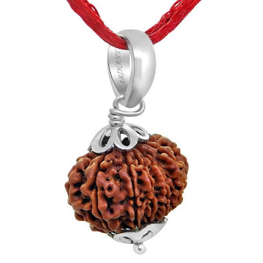 12 Mukhi NEPALI RUDRAKSHA SILVER 925 PENDANT / Twelve Faced RUDRAKSHA 100% Original & Certified
