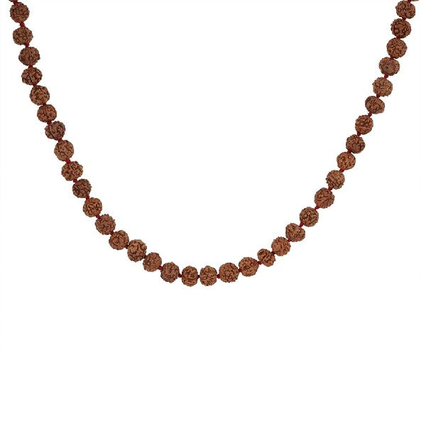 5 Mukhi   RUDRAKSHA JAAP MALA FOR POOJA (ASTROLOGY) (108+1 Beads) 100% Original & Certified