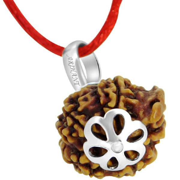 Ciondolo Rudraksha Naturale - Scegli 1 A 10 Mukhi, Ganesh O Gauri Shankar - Argento 925